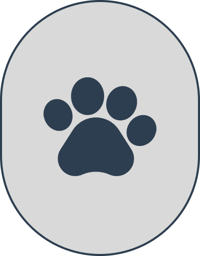 Paw print icon on oval background.